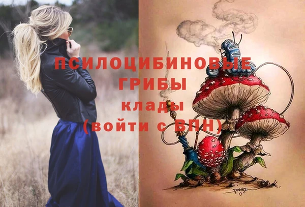 меф VHQ Гусев