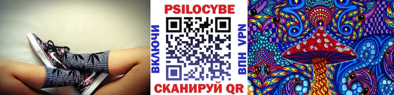 Псилоцибиновые грибы GOLDEN TEACHER  kraken ССЫЛКА  Нюрба 